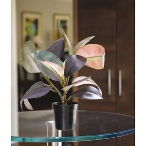 Bloom Artificial Rubber Plant in Nursery Pot - Faux Fake Realistic Houseplant Floral Home Decoration - Measures H50cm x W40cm