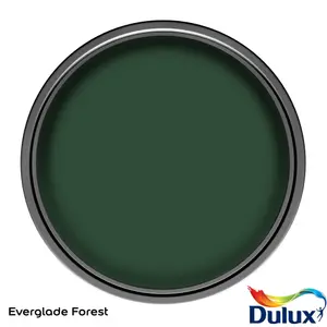 Dulux One coat Everglade forest Matt Emulsion paint, 1.25L