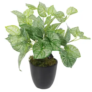 40cm Artificial Caladium Plant with pot