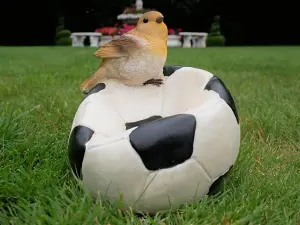 Robin on a Football Bird Feeder Small