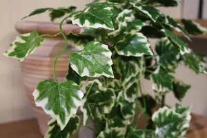 Best Artificial 100cm Variegated Grape Trailing Ivy Garland Strings Strands Twines Decoration - TI01