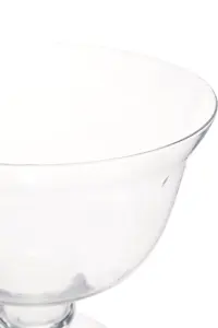 Maison by Premier Ambra Clear Glass Tulip Bowl