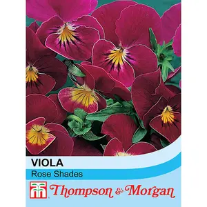 Viola Hybrida Rose Shades 1 Seed Packet (30 Seeds)