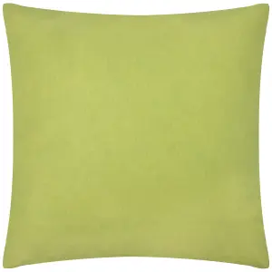 Wylder Wilds Tropical Cotton Polyester Filled Cushion