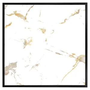 Gold marble (Picutre Frame) / 12x12" / Grey