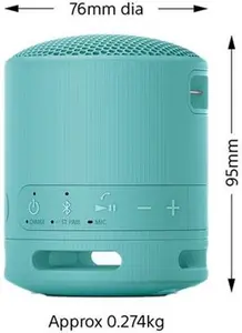 SONY SRS-XB100 Portable Bluetooth Speaker - Blue