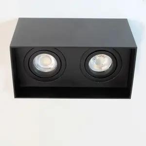 Luminosa Clark Double Spotlight 2xGU10 Surface Mounted Black