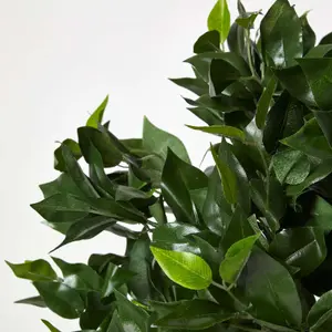 Homescapes Green 4ft Ficus Topiary Artificial Tree with Pot, 125 cm