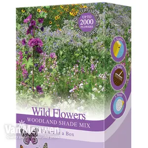 Woodland Garden Wildflower Seeds - Bees & Butterflies, Foxgloves, Borage, Forget Me Nots - Suitable for Shady Areas