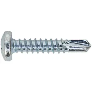 100 Pack Zinc Plated Self Drilling Phillips Screws 4.8 x 25mm - Essential Fixings for DIY Projects