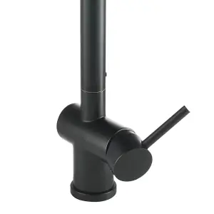 Single Handle High Arc Pull Out Kitchen Taps Kitchen Sink Mixer Tap in Matte Black