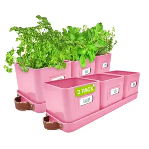 Herb Pots 2 Pack Pink Indoor Planters with Leather Handled Tray Ideal for Kitchen Windowsill Herb Garden