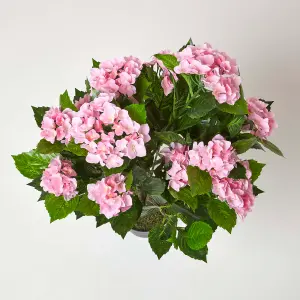 Homescapes Pink Hydrangea Artificial Plant with Pot, 85 cm