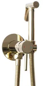 Rea Gold Colour Finishing Brass Bidet Tap Ceramic Mixer Expendable Handle 1.2m Hose