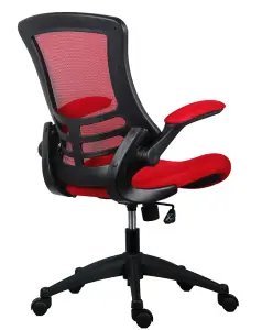 Rainbow Zebra Red Mesh Office Chair with Black Base and Folding Armrests