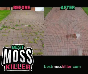 Moss Killer for Paths, Patios and All outdoor Hard Surfaces