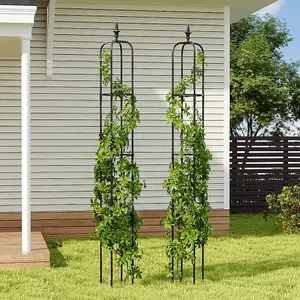 2 Pieces 5FT Garden Obelisk Trellis for Climbing Plants Outdoor and Indoor