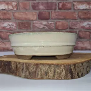 16cm Glazed Bonsai Pot - Oval - 16cm x 12cm x 3cm - White