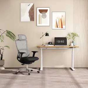 FlexiSpot Ergonomic Office Chair with Double Backrest Lumbar Support in Light Grey