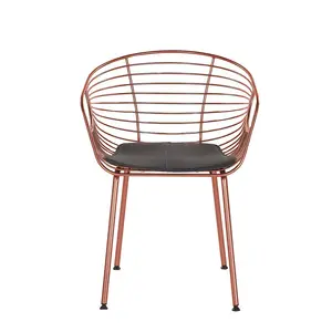 Bonneau Dining Chair (Set of 2) Copper