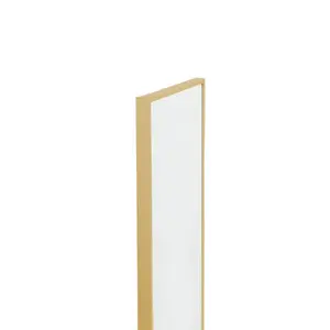 Heulyn Rectangle Metal Mirror Gold / 118cm x 28cm