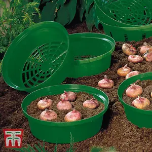 Flower Bulb Planting Baskets - 15 pack