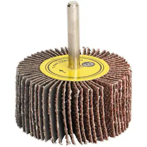 25mm Aluminium Oxide Flap Wheel for Metal Finishing - 6mm Shaft, 60 Grit