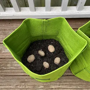 Potato & Vegetable Planter Grow Bags (Set of 5) Non - Woven Aeration Fabric Pots