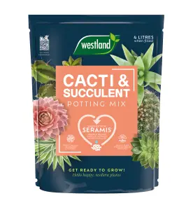 Westland Peat-free Cacti & succulent Potting mix 4L