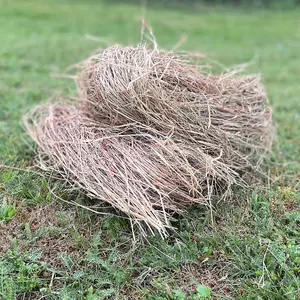 Hedgehog House Nesting Material