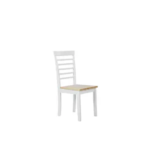 Mintz Solid Wood Dining Chair (Set of 2)