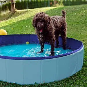 Furdreams Dog Paddling Pool - 60x20 cm, Foldable Dog Swimming Pool, Hard Plastic Dog Pool