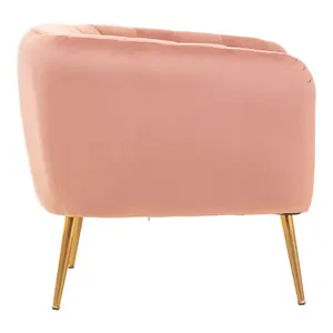 Interiors by Premier Modern Pink Velvet Chair with Gold Finish Legs, Back & Armrest Dining Chair, Easy to Clean Armchair