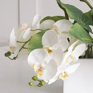 Artificial Lusong Orchid Arrangement in Vase - Faux Pure White Phalaenopsis, Exotic Leaves & Twisted Willow Stems - H27 x W33cm