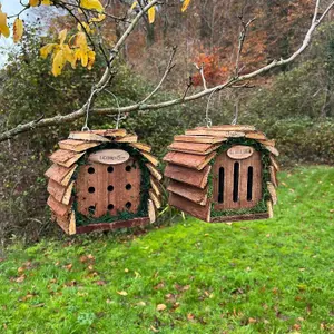 Wooden Hanging Butterfly & Ladybird House Set