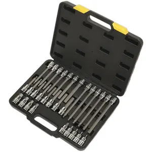 30pc Hex Key Socket Bit Set - 1/2" Square Drive - 5mm to 14mm - 200mm Long Shaft