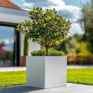 60cm Zinc Galvanised Matte White Square Planter