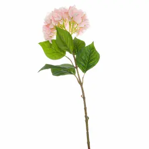 Single Hydrangea Artificial Flower - L10 x W18 x H70 cm - Pink