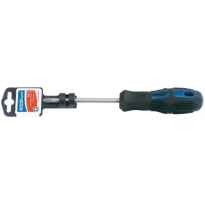 Draper Expert Cross Slot Screwdriver, No.2 x 100mm 40019