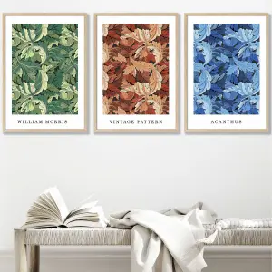 Set of 3 Framed Framed Blue, Green Brown William Morris Floral / 42x59cm (A2) / Oak