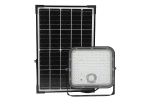 NexSun Juniper 4800 Lumens Solar Security Floodlight with PIR Motion Detection