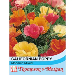 Californian Poppy Mixed 1 Seed Packet (600 Seeds)