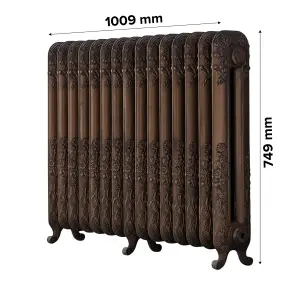 Arroll Daisy Cast iron Bronze 15 Column Radiator, (W)1009mm x (H)794mm