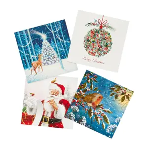 Shelter Bumper Box Christmas card, Pack of 20