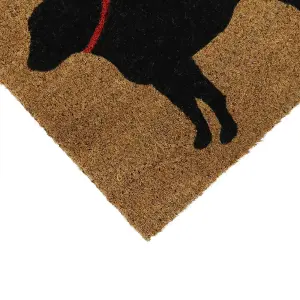 Eco-Friendly Latex Backed Coir Door Mat, Puppy Love