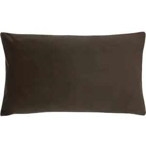 Paoletti Sunningdale Velvet Feather Rich Cushion