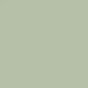 Next Light Sage Green Ultimate Paint 2.5L