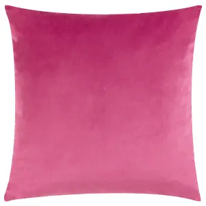 Heya Home Raeya Art Deco Velvet Feather Filled Cushion