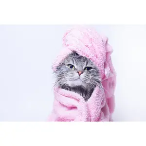 Funny Smiling Wet Gray Tabby Cute Kitten After Bath In Pink Towel With Beautiful Eyes by Dmitry Kirichay - Wrapped Canvas Print 20Cm H x 30Cm W