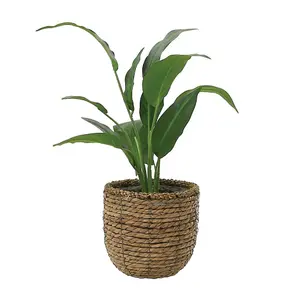 Artificial Peace Lily in Rattan Basket 30cm